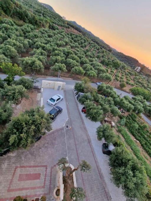 Olive Grove 度假居